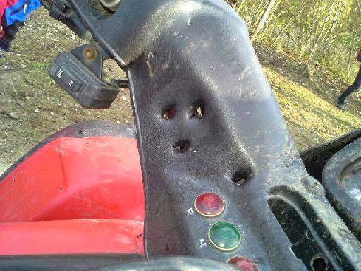 PRZYGODA Z NIEDŹWIEDZIEM