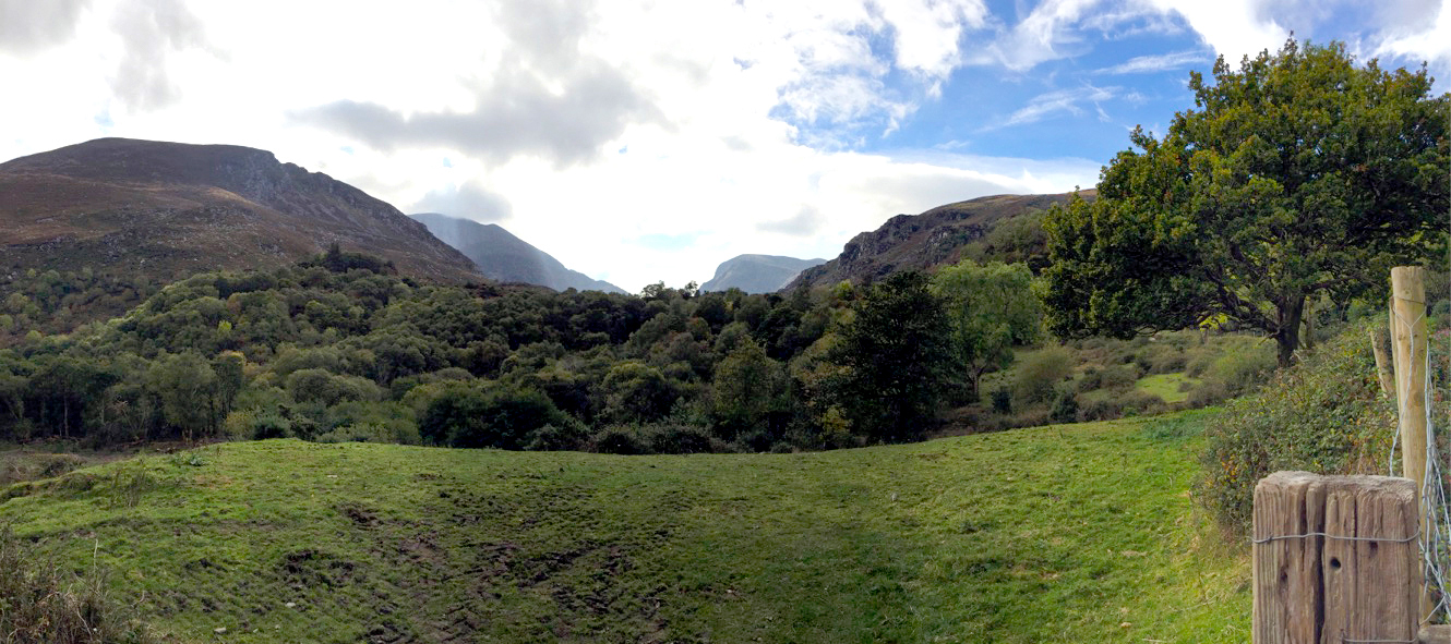 KONGRES ICAR 2015 – WIEŚCI Z IRLANDII