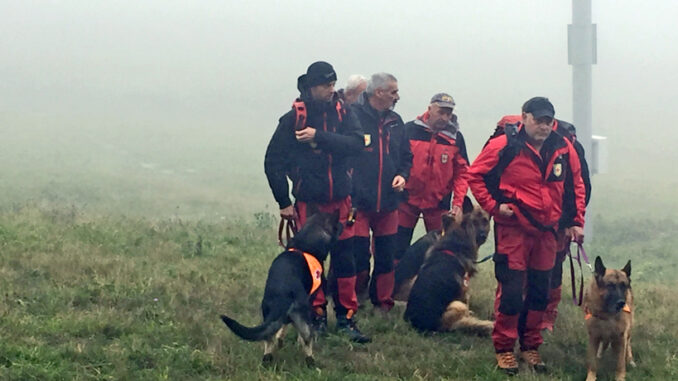 KONGRES ICAR 2016 - MELDUNEK DRUGI