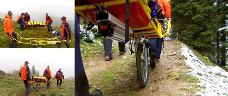 WÓZEK ALPEJSKI Z SILNIKIEM ELEKTRYCZNYM