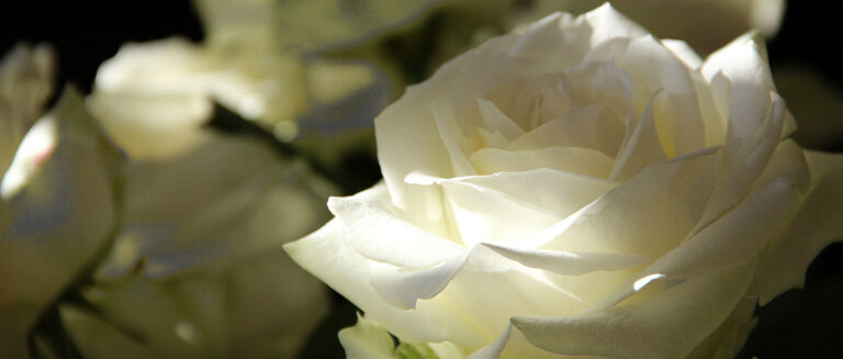 KONDOLENCJE DLA KOLEGI WIKTORA SZCZYPKI