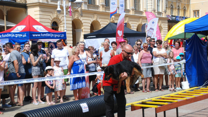 65 LAT GOPR – FESTYN W KRYNICY