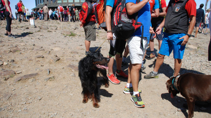 DZIEŃ ŚW. WAWRZYŃCA – TYSIĄCE TURYSTÓW NA ŚNIEŻCE