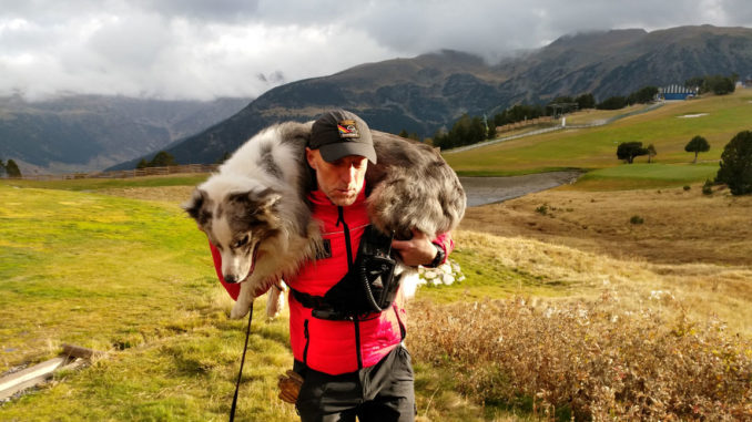 KONGRES ICAR 2017 - IMPRESJE