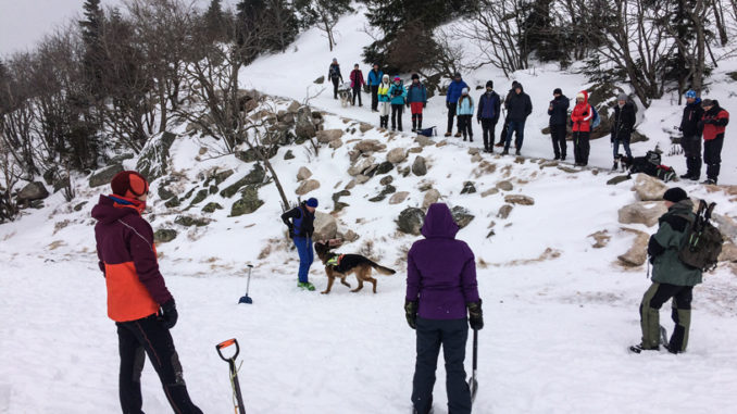 WARSZTATY LAWINOWE W SAMOTNI