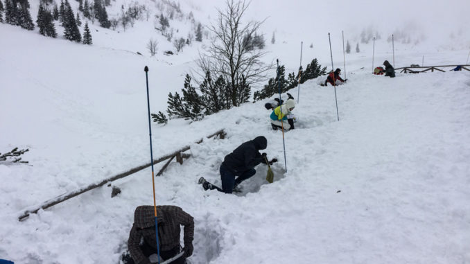 WARSZTATY LAWINOWE W SAMOTNI