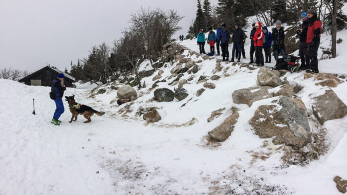 WARSZTATY LAWINOWE W SAMOTNI