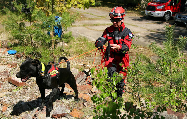 CZŁOWIEK I PIES – ZESPÓŁ RATUJĄCY ŻYCIE
