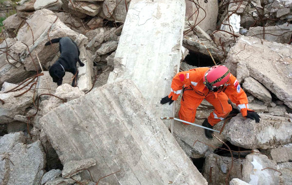 CZŁOWIEK I PIES – ZESPÓŁ RATUJĄCY ŻYCIE