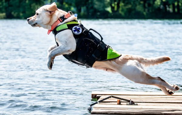 CZŁOWIEK I PIES – ZESPÓŁ RATUJĄCY ŻYCIE