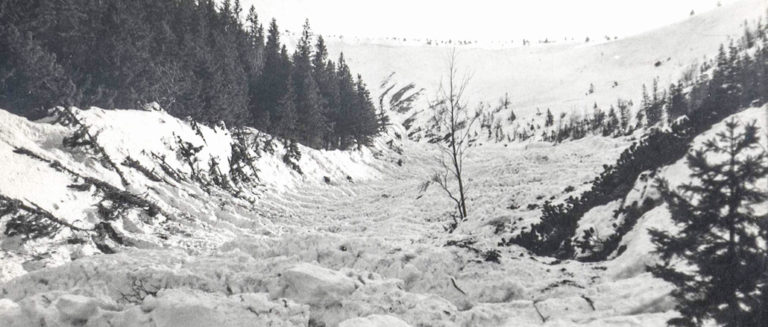 50 LAT TEMU W BIAŁYM JARZE