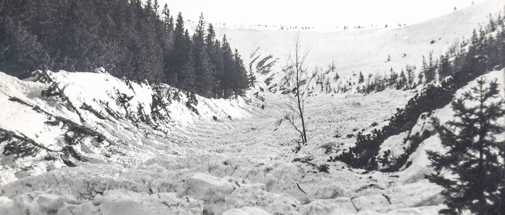 50 LAT TEMU W BIAŁYM JARZE