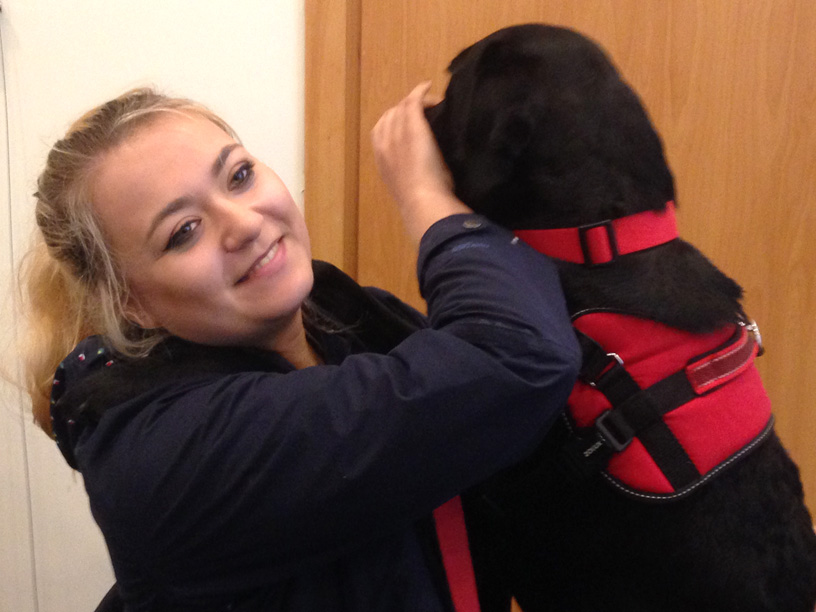 PSY PRACUJĄCE W POLSKICH SŁUŻBACH RATOWNICZYCH I MUNDUROWYCH