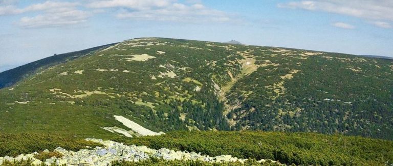 ŚWIATŁA NAD SMOGORNIĄ