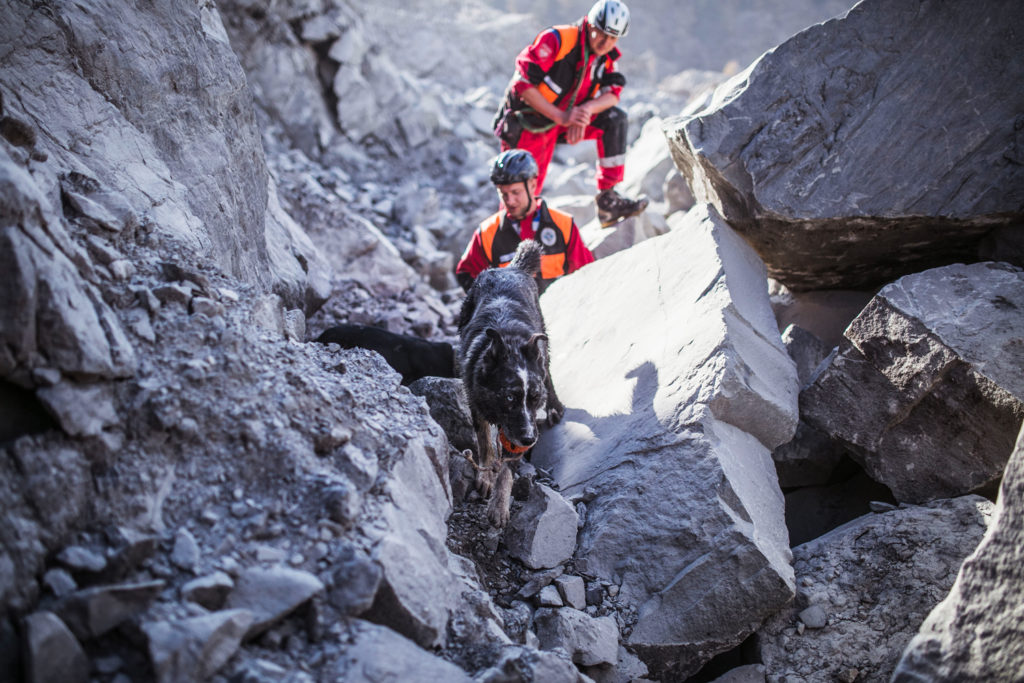 III EDYCJA AKCJI CHARYTATYWNEJ NA RZECZ PSÓW RATOWNICZYCH GOPR