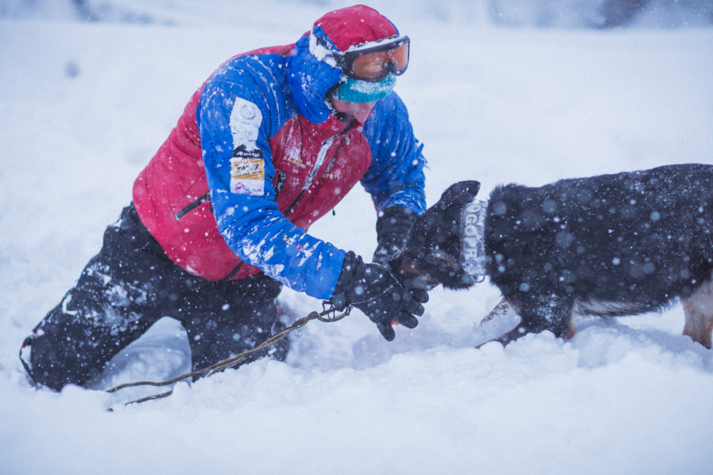III EDYCJA AKCJI CHARYTATYWNEJ NA RZECZ PSÓW RATOWNICZYCH GOPR