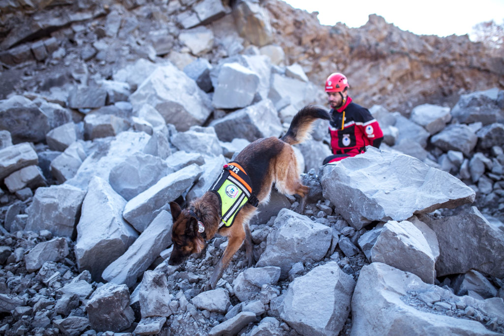 III EDYCJA AKCJI CHARYTATYWNEJ NA RZECZ PSÓW RATOWNICZYCH GOPR
