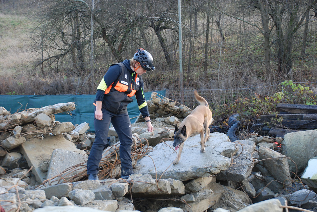 45-LECIE PODKOMISJI PSÓW RATOWNICZYCH GOPR