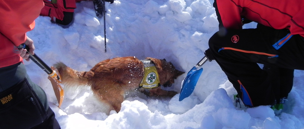 STATYSTYKA WYPADKÓW W AUSTRIACKICH ALPACH