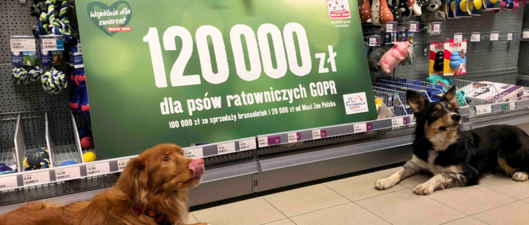 MAXI ZOO PONOWNIE WSPIERA PSY RATOWNICZE GOPR