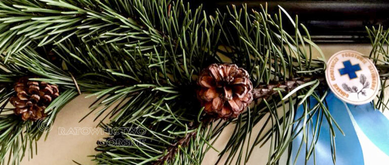 RATOWNIKOM GRUPY KARKONOSKIEJ GOPR