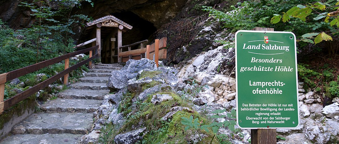 POLSCY GROTOŁAZI UWIĘZIENI W JASKINI