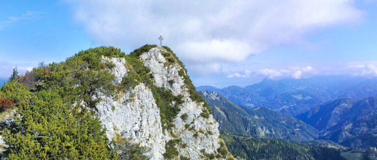 KOSZTOWNE NIEDBALSTWO