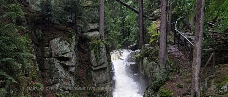 AKCJA POSZUKIWAWCZA W SIERPNIU 2004 ROKU